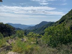 -大岭沟猕猴桃谷风景区