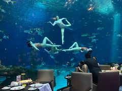 -上海海昌海洋公园