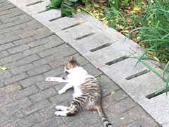 -苏州河梦清园环保主题公园