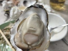海蛎子-永安烧烤