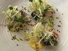 青花鱼-蝶舍·MAISON PAPILLON