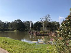 -中国科学院西双版纳热带植物园