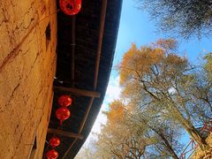 -南靖田螺坑土楼群景区