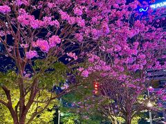 -东莞松山湖万象汇