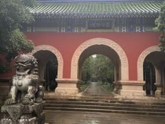 -灵谷景区