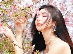 -天适樱花悠乐园