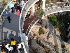 -仙岳公园