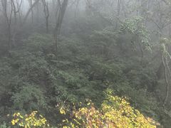 -少华山国家森林公园