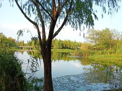 -尚贤河湿地