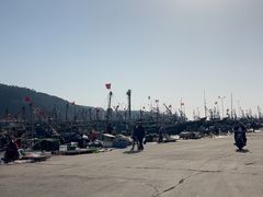 -龙王塘渔港