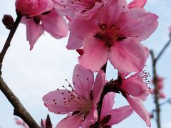 -杭州城北体育公园