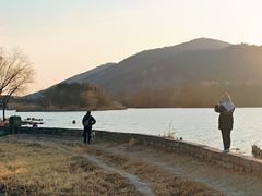 -长广溪湿地公园