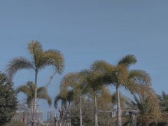-希尔顿南海酒店·观廊大堂吧·海景下午茶