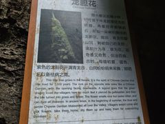 -阿依河景区