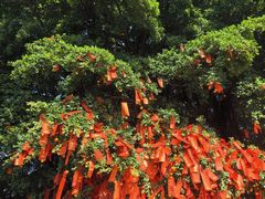 -佛山市祖庙博物馆