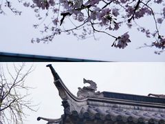 -鸡鸣赐茶(鸡鸣寺路店)