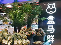 -盒马鲜生(大成店)