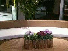 室内游泳馆-松咖啡自助餐厅·松北香格里拉