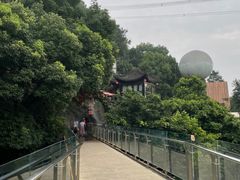 -巴倒烫陆派火锅山庄(南山总店)