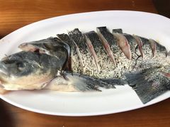 -红牌美蛙鱼头火锅(万辉国际广场店)