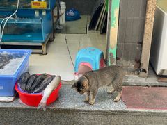 -嘉华小吃(蛇口市场店)