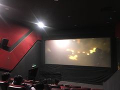 -华联影城(蒙城路店)