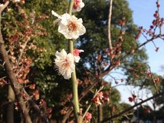 IMG_5650-新江湾城公园