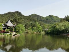 -黄陂区野村谷景区