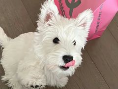 -闪电修企业手机电脑回收(西湖风景名胜区店)