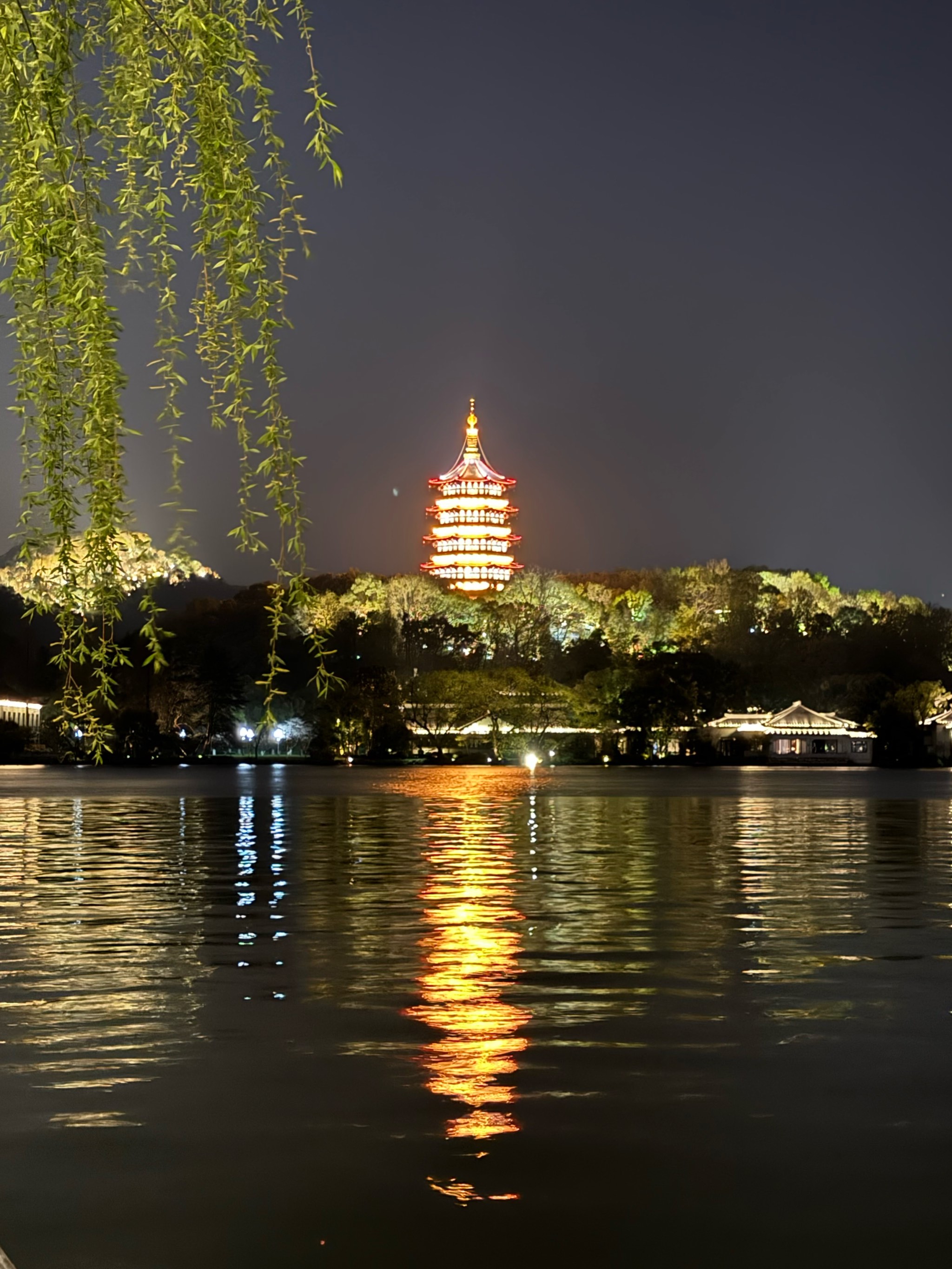 雷峰塔夜景