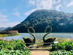 -广州市石门国家森林公园