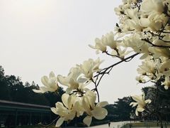 -北京市劳动人民文化宫(太庙)
