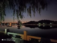 -大港湿地公园
