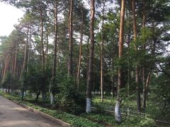 -黑龙江省森林植物园
