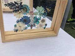 -云溪植物园