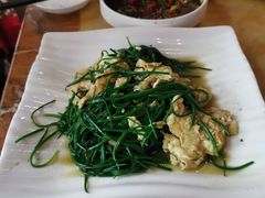沙葱炒鸡蛋-敦煌达记酱驴肉黄面馆