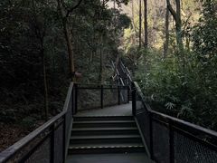 -韬光茶庵
