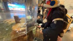 点击看大图 -Zoolung Zoolung动物主题公园(海信广场店)