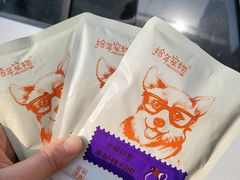-皖宠联盟宠爱优家宠物医院(中兴西湖店)