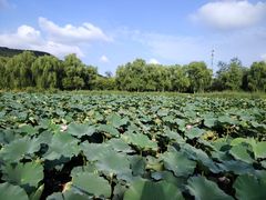 -国家植物园南园