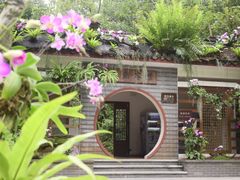 -深圳仙湖植物园