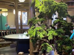 -大融厨·鸡毛店·川菜(果壳里东安湖店)