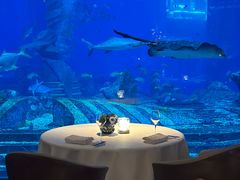 -亚特兰蒂斯•OSSIANO奥西亚诺海底餐厅