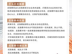 -上海明天广场JW万豪酒店