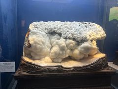 -贵州省地质博物馆