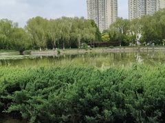 -望湖公园