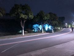 -羊山湖公园