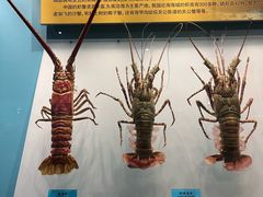 -天津自然博物馆
