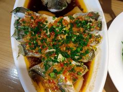 -大鸽饭(马王堆店)