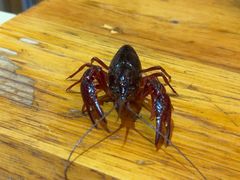 -老姑砂锅·烧烤天津菜(体北道店)